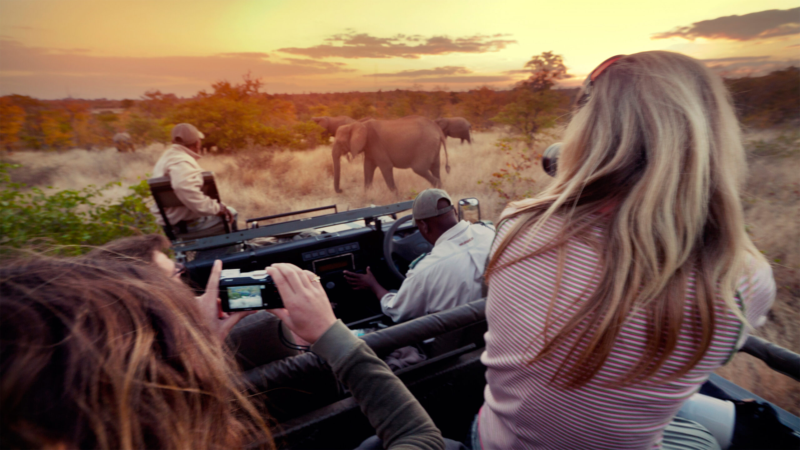Safari Photography: Tips and Techniques For Capturing The Best Of South Africa