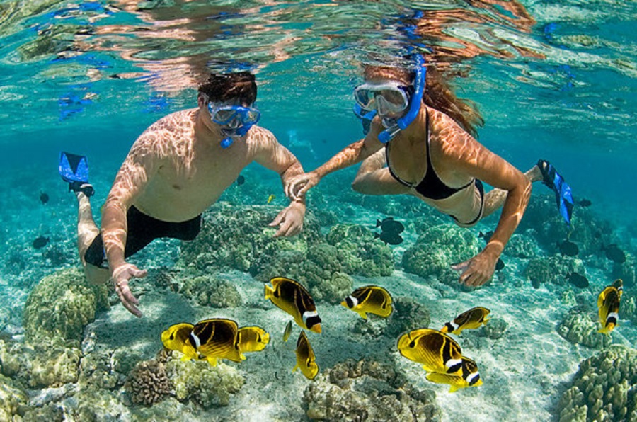 Dive into Crystal Clear Waters: Snorkeling Tours in Grand Cayman